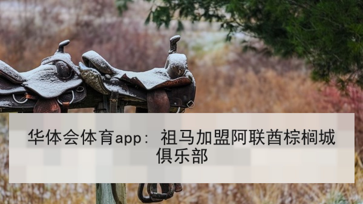 华体会体育app: 祖马加盟阿联酋棕榈城俱乐部