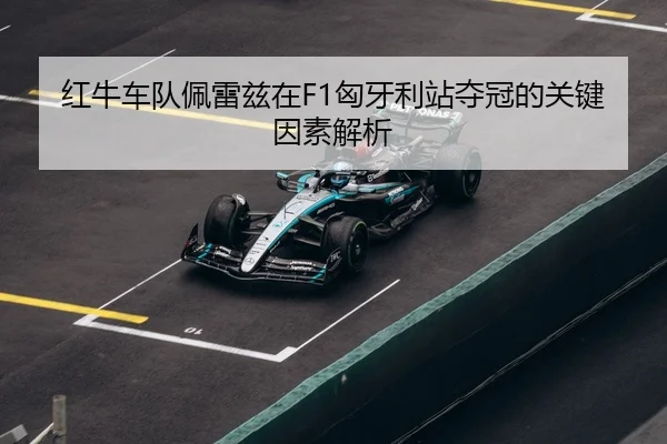hong-niu-che-dui-pei-lei-zi-zai-xiong-ya-li-zhan-duo-guan-de-guan-jian-yin-su-jie-xi-3-334.jpg